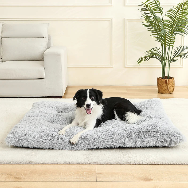 Pet Dog Soft Bed House Mat