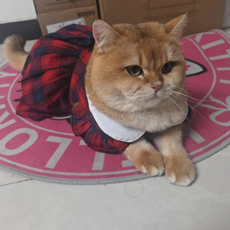 Pet Cat Kitten Platinum Gradual Layer Skirt Dress