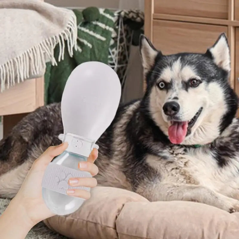 Portable Pets Water Dispenser With Bowl Leak-Proof