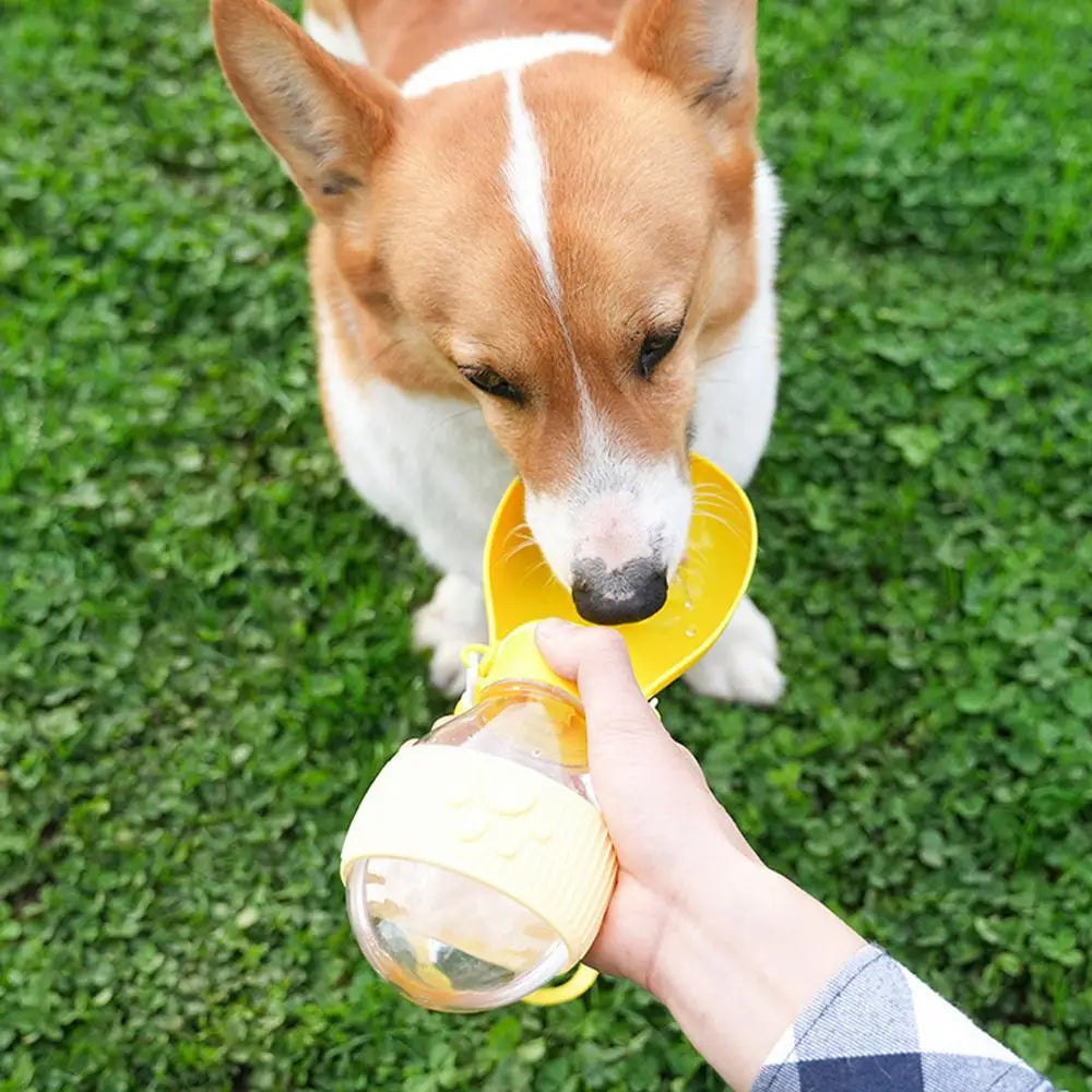 Portable Pets Water Dispenser With Bowl Leak-Proof