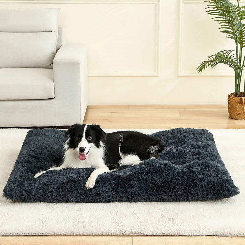 Pet Dog Soft Bed House Mat