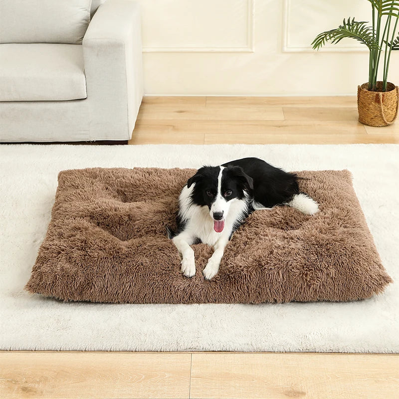 Pet Dog Soft Bed House Mat