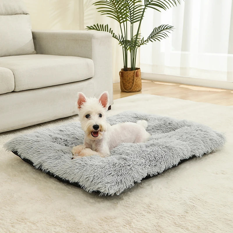 Pet Dog Soft Bed House Mat