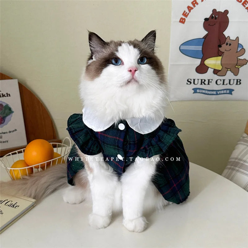 Pet Cat Kitten Platinum Gradual Layer Skirt Dress