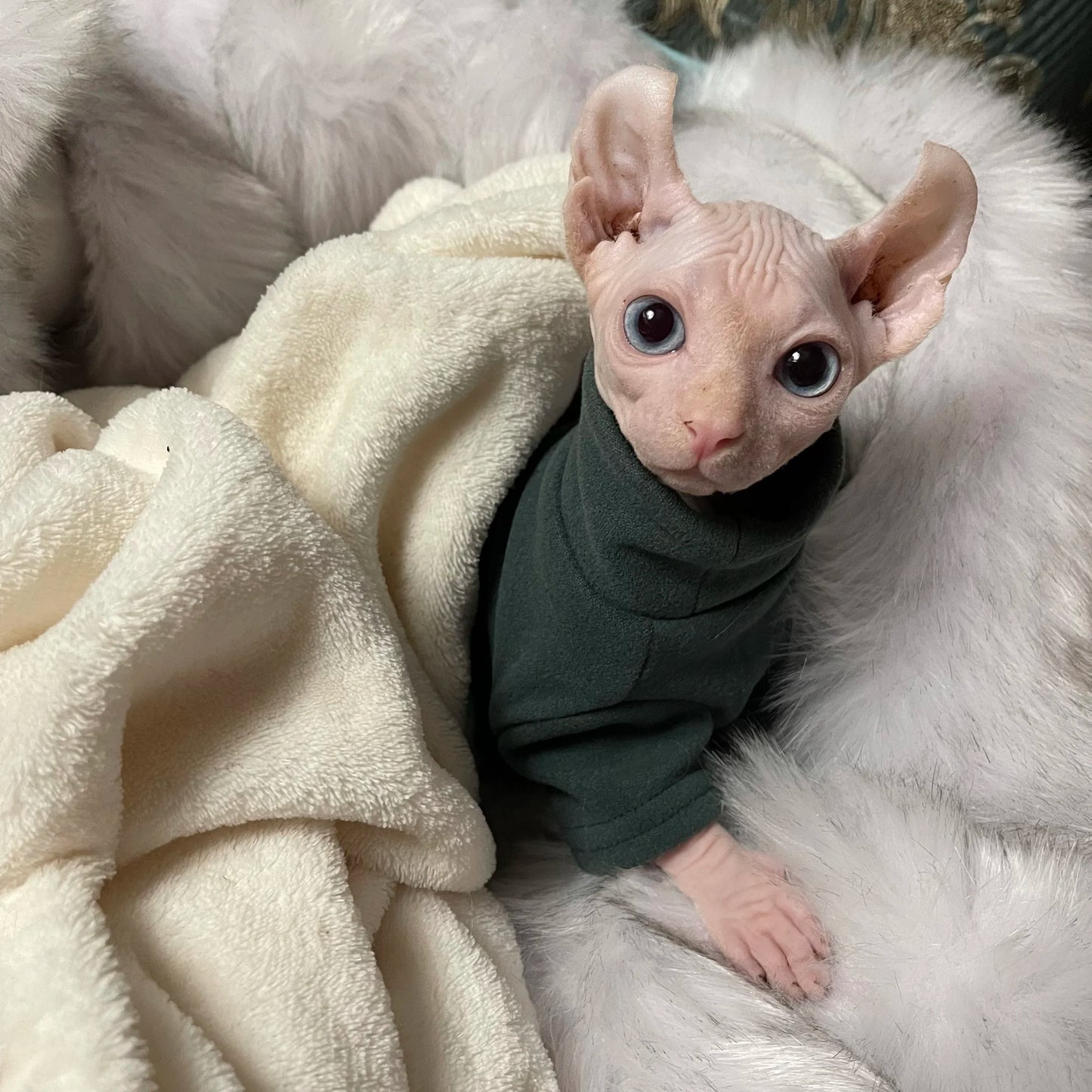 Pet Soft Cotton Fall Winter Warm Clothes