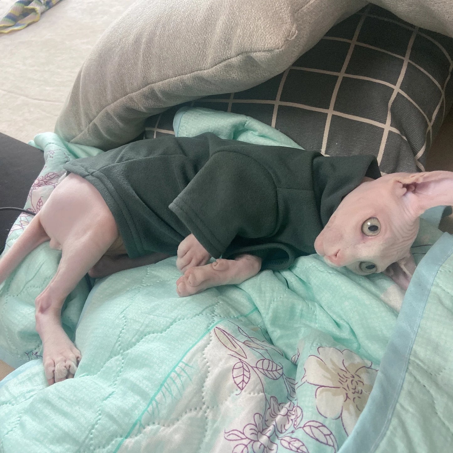 Pet Soft Cotton Fall Winter Warm Clothes