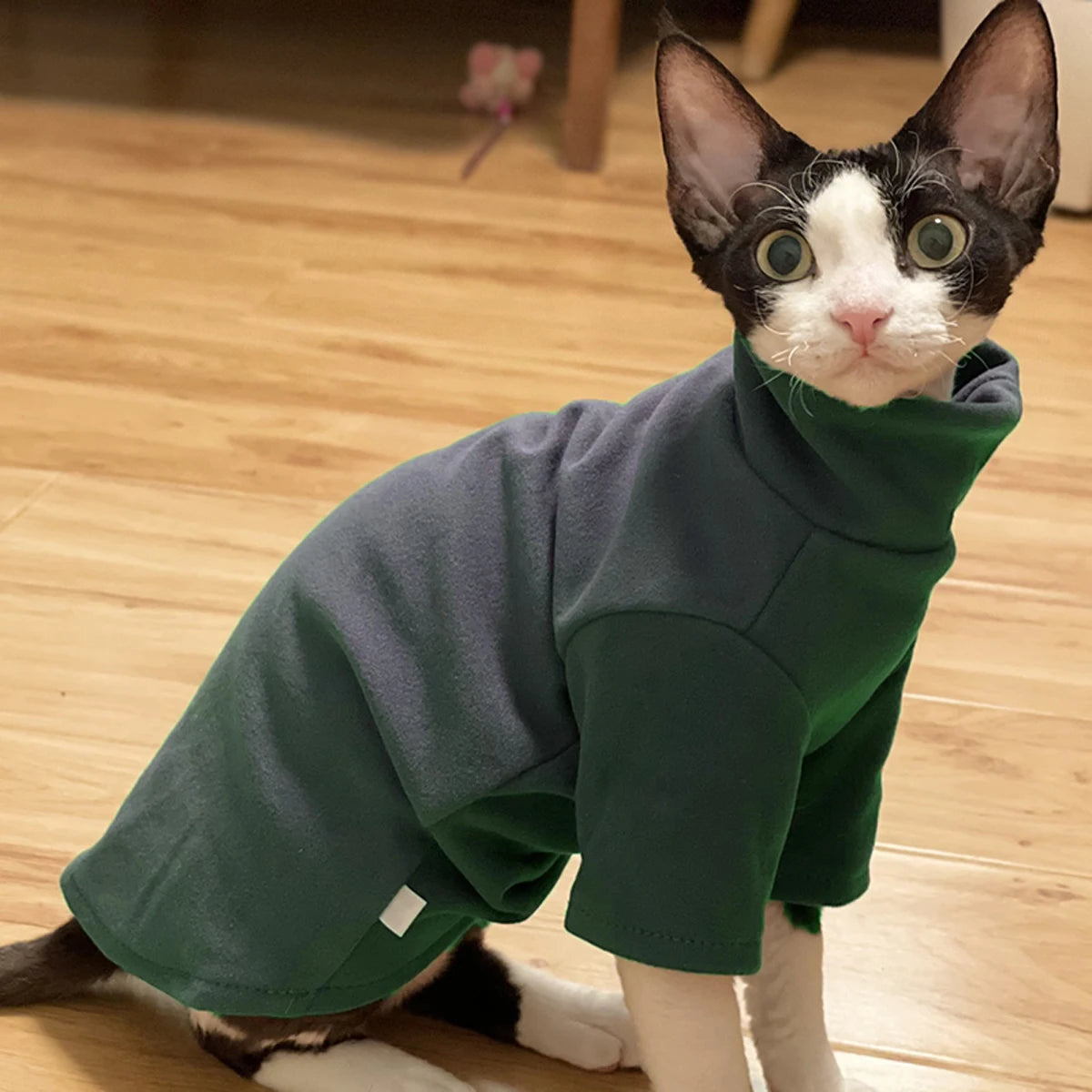 Pet Soft Cotton Fall Winter Warm Clothes