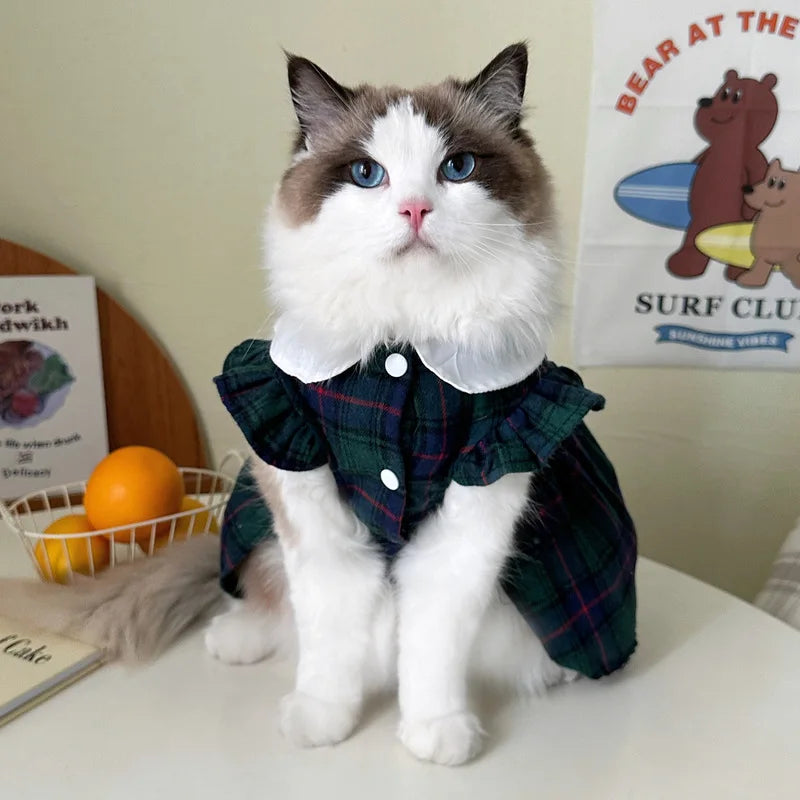 Pet Cat Kitten Platinum Gradual Layer Skirt Dress