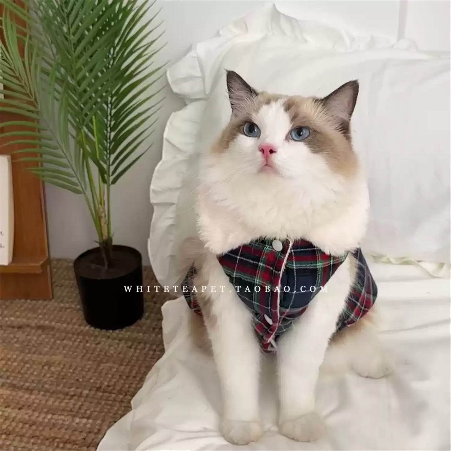 Pet Cat Kitten Platinum Gradual Layer Skirt Dress