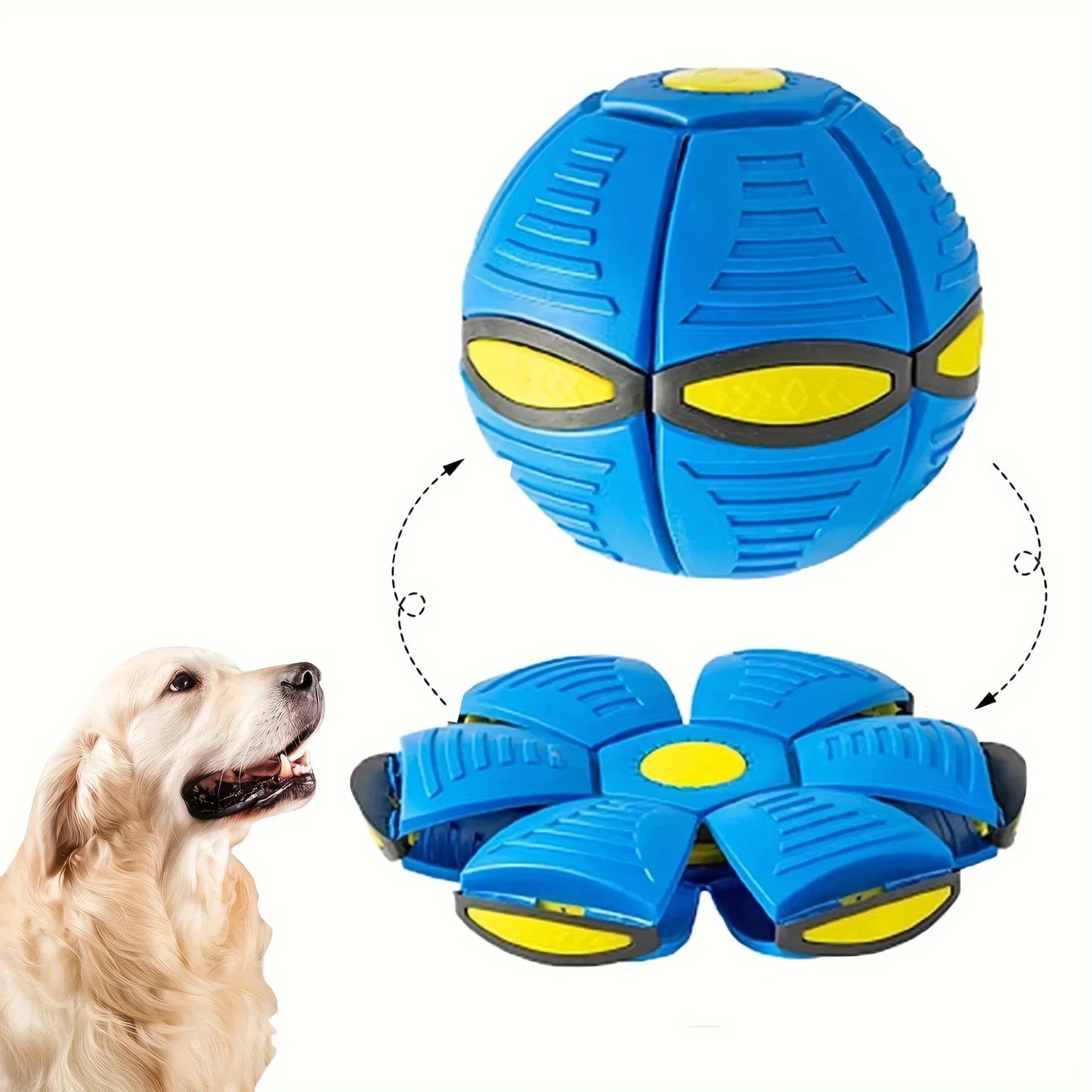 Elastic Flying Saucer Bouncing Ball