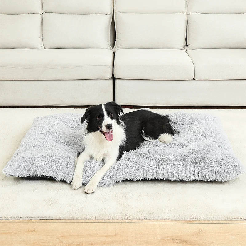 Pet Dog Soft Bed House Mat