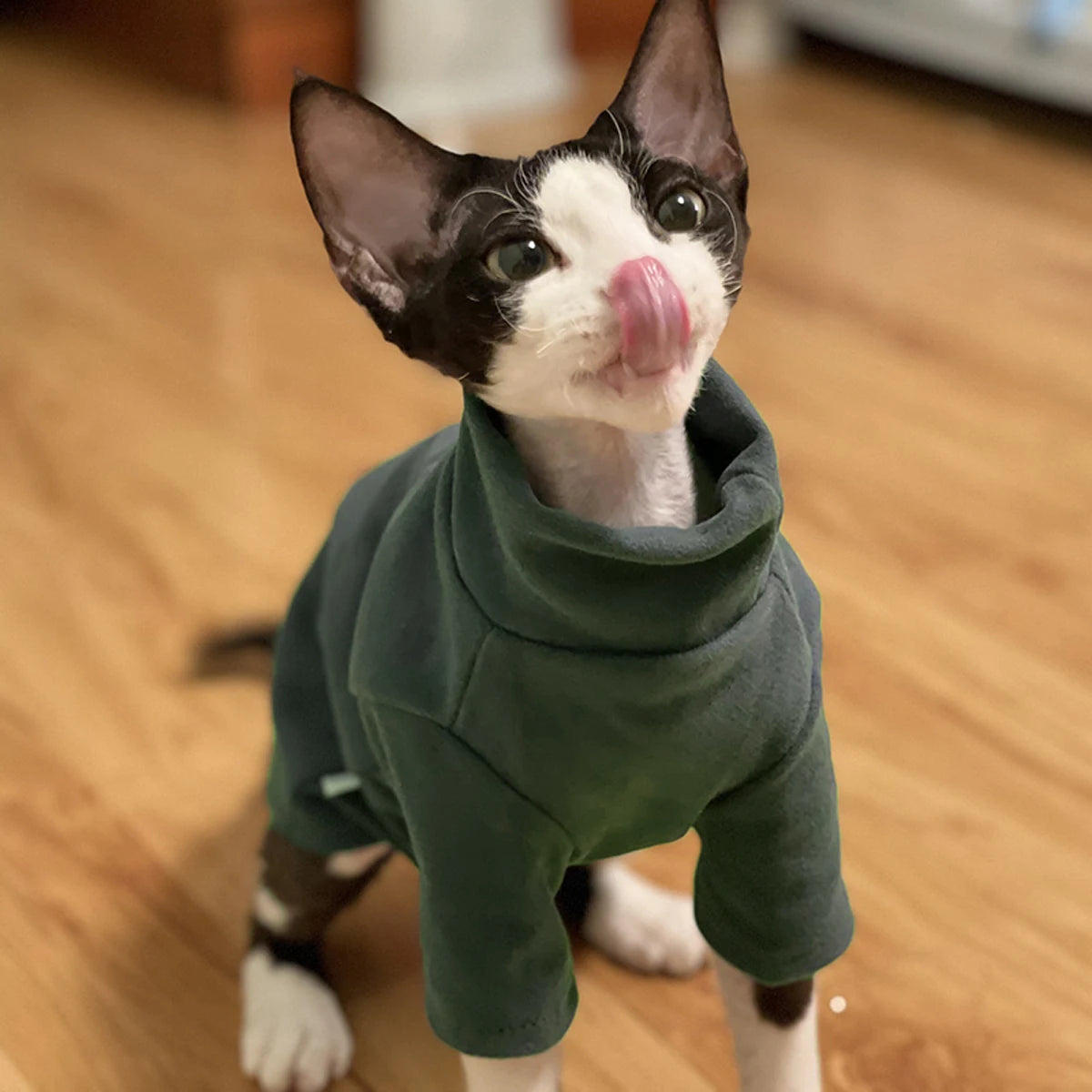 Pet Soft Cotton Fall Winter Warm Clothes