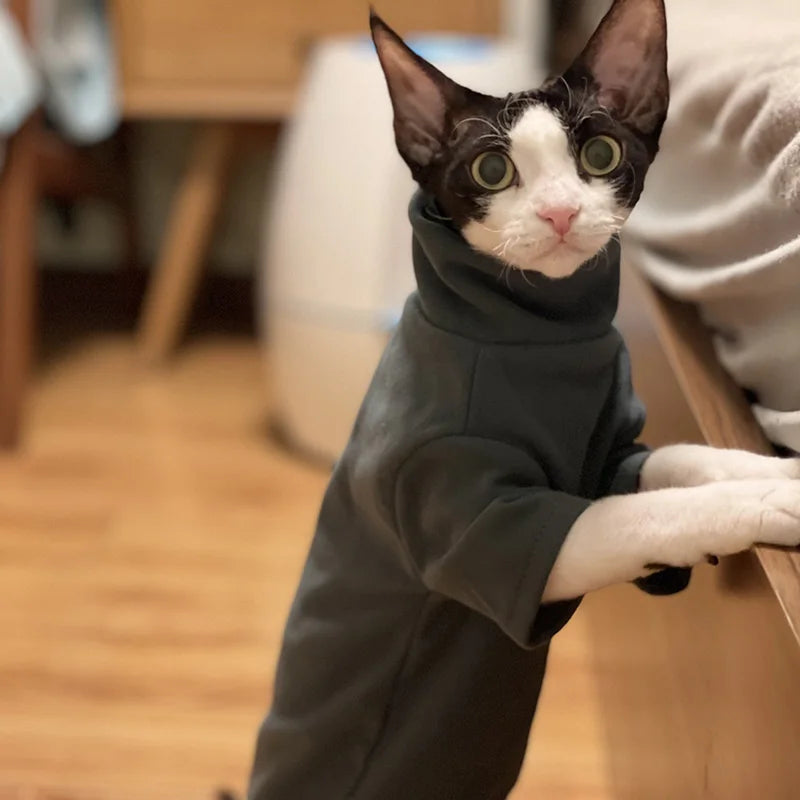 Pet Soft Cotton Fall Winter Warm Clothes