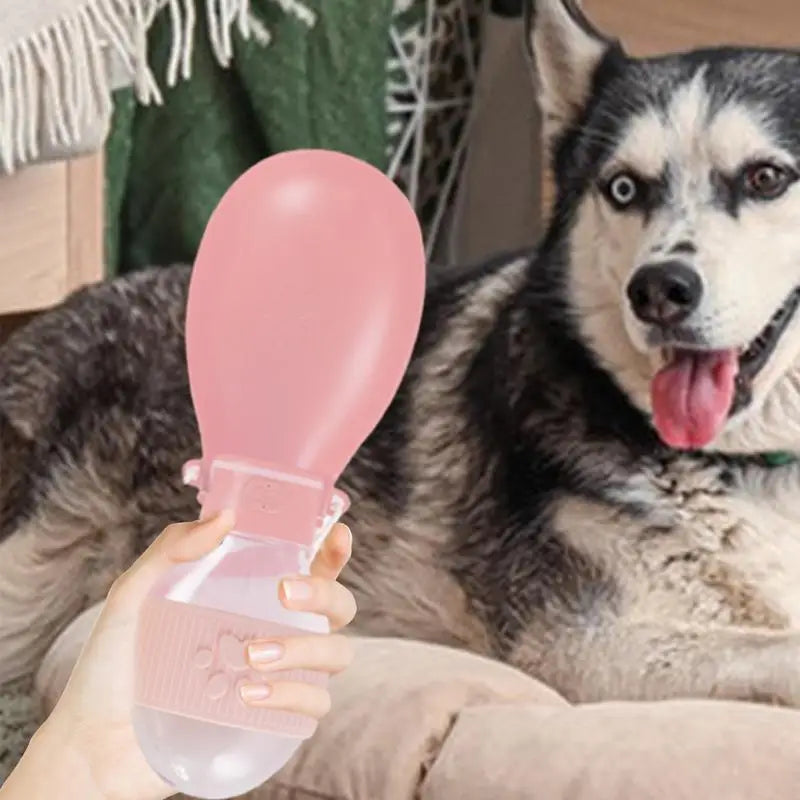 Portable Pets Water Dispenser With Bowl Leak-Proof