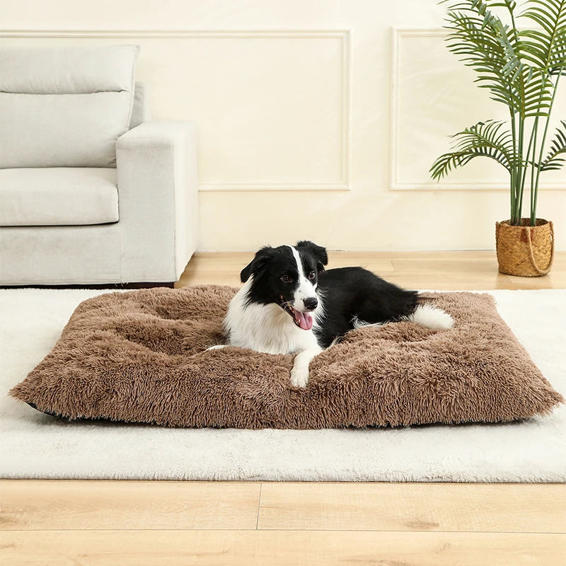 Pet Dog Soft Bed House Mat