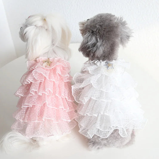 Pet Cat Spring/summer Dress